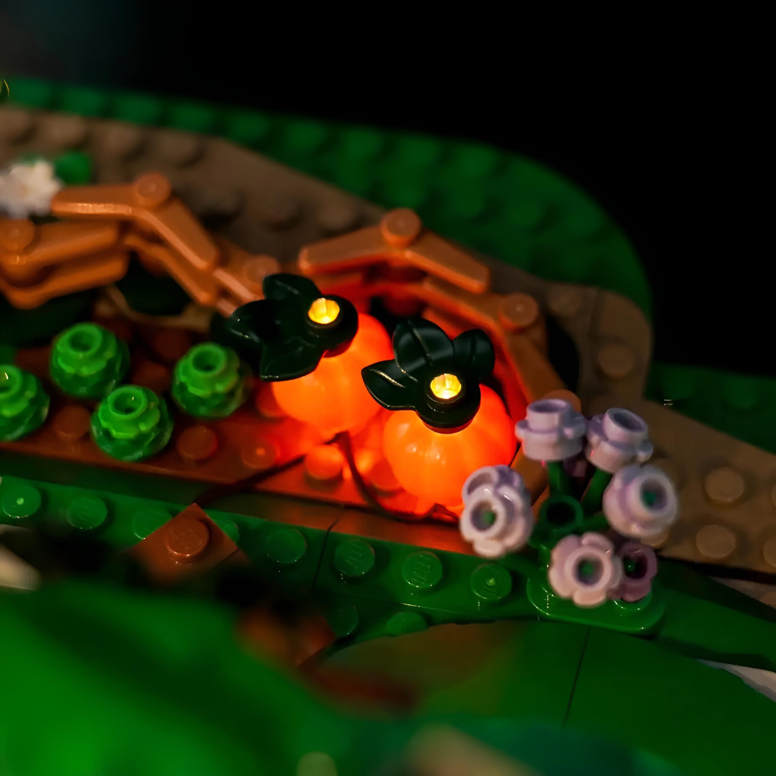 the_lord_of_the_rings_the_shire_lego_light_kits_7